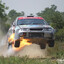 Jeramiah_Bullfrog947