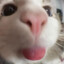 ming