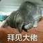 划船不靠浆