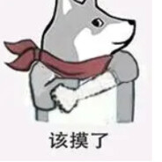 Happy and handsome dog