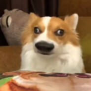 不吃香菜（开学版）