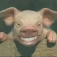 说历史的理科生