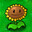 50 sun