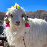 不扎针浑身难受