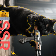 肥猫一瘸一拐 一摇一摆