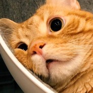 马枪锦标赛冠军选手