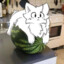 wat ermelone