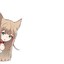 SleepingCat