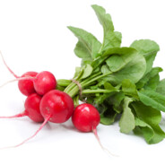 TasteXRadish