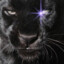 Raiden066