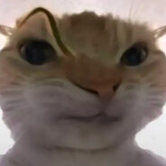 我来看看怎么个事