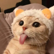 Big Avatar