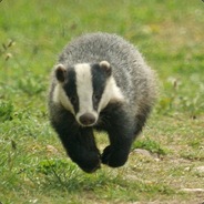 HyperBadger