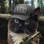 USEC CAT