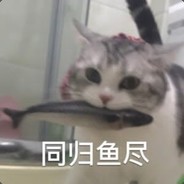 橘猫冲冲冲