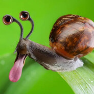 додеп додепович