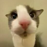 Evoulus avatar