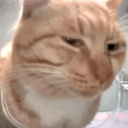 史前巨饿雷克炖