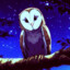 NightOwl2023