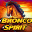 Bronco Spirit ☂