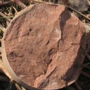 中风化泥质粉砂岩