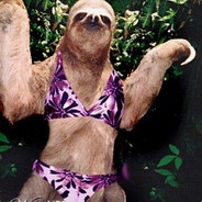 The Sexy Sloth