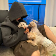 死道友不死贫僧