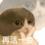 一大勺奶酪