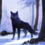 Tod