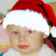 państwowy ogier rozpłodowy