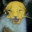 The Ninth Nip avatar