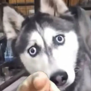 甜甜女孩也有咸咸地方