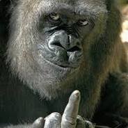 ༺Gambit༻ columbus - steam id 76561198010693874