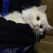 你别急我在结这个逼印