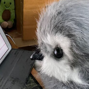 盗号狗殡仪馆是你家吗一排家人躺那