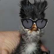 Too much for overwatch