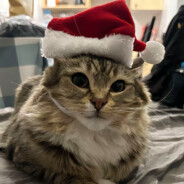 难铜比赛守银差点摄金