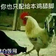 国服第一鸡仙人