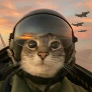 Albert Whiskers