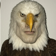 Прокладка ДОРЫ