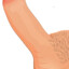 penis