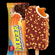NOGGER