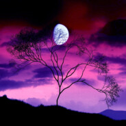 ملك الموت | Сomar