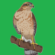 Big Avatar