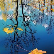 猛足劲干折瘸子的双臂