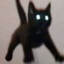 Glow catt