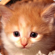 年少总有装*逼梦