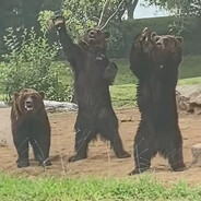 提着昨日种种千辛万苦