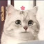 是努比