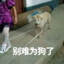 Crow丶